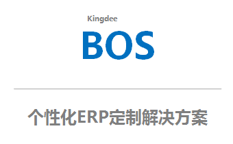 个性化 ERP 解决方案